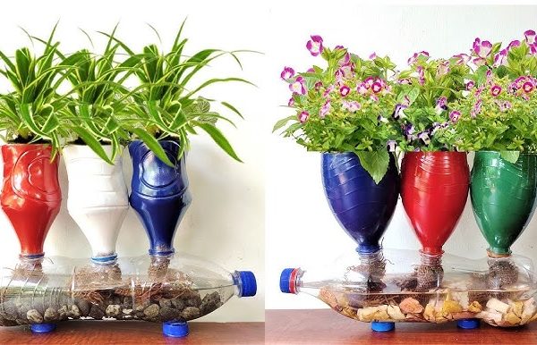 Upcycled Self-Watering Planters from Plastic Bottles, A Sustainable DIY Innovation